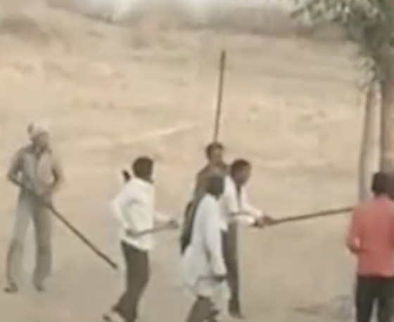6 اشخاص في الهند ينتقمون بشكل وحشي من جمل!! ماذا حدث؟ صور.. صورة رقم 4