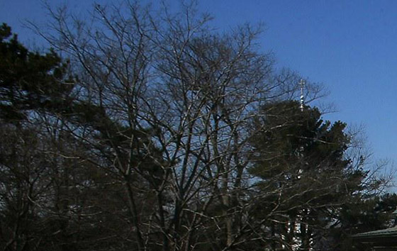 إشارات راديو غامضة تصل من الفضاء و تقلق العلماء.. هل وراءها  كائنات فضائية؟ صورة رقم 1