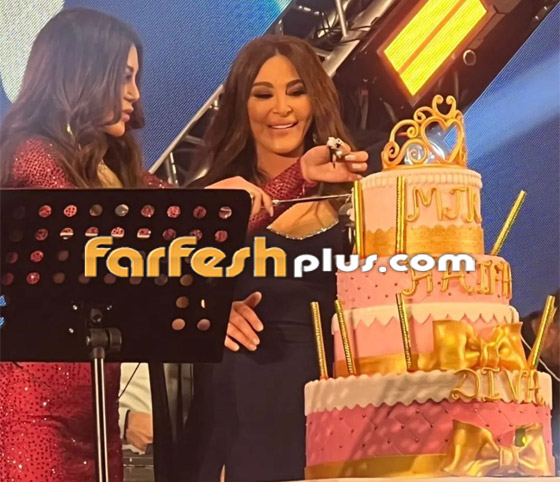 إليسا تفاجئ هيفاء وهبي وتحتفل بعيد ميلادها على المسرح.. فيديو وصور صورة رقم 3