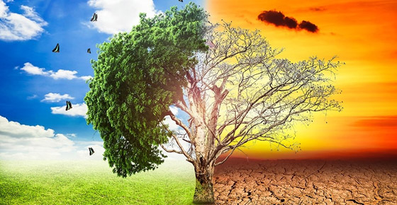 حرارة الأرض ترتفع.. و7 سنوات تفصلنا عن 