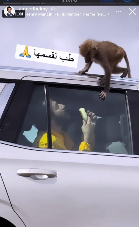 فيديو طريف: أحمد حلمي يتحدث باللهجة السعودية ويخطئ: 