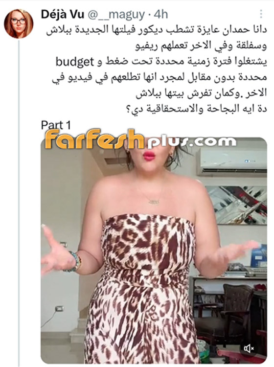 الهجوم على دانا حمدان: تستغل مهندسي الديكور وتأكل وتتفسح وتفرش بيتها مجانا! ما القصة؟ صورة رقم 4