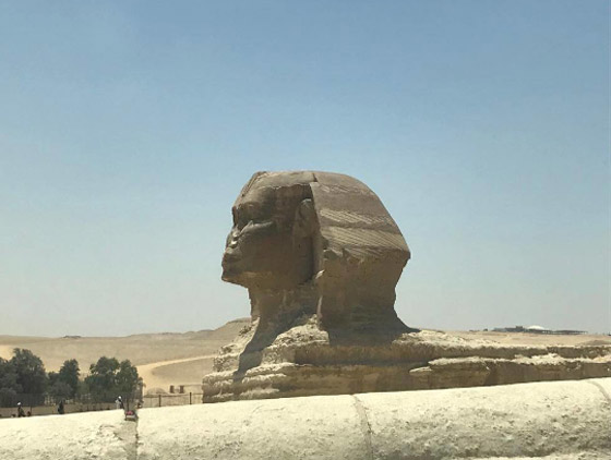فيلم 