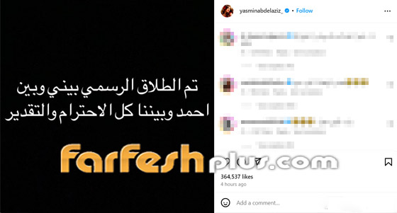 مفاجأة صادمة: طلاق ياسمين عبد العزيز وأحمد العوضي.. هل تحققت نبوءة ليلى عبد اللطيف؟ صورة رقم 1