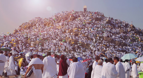 لأداء مناسك الحج.. إليكم الشروط الصحية المفروضة على الحجاج موسم 2024 صورة رقم 1