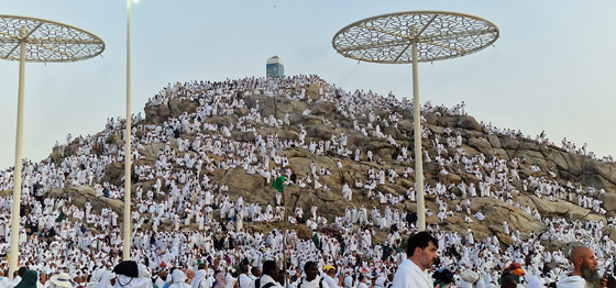 لأداء مناسك الحج.. إليكم الشروط الصحية المفروضة على الحجاج موسم 2024 صورة رقم 5