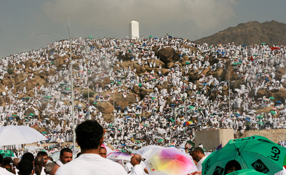 ما هو يوم عرفة وما فضل صيامه وسبب تسميته؟ صورة رقم 9