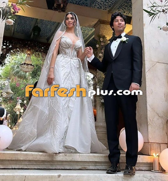 22 نجما دخلوا القفص الذهبي في 2024 بينهم جميلة عوض، ياسمين رئيس وحسني شتا صورة رقم 12 22 نجما دخلوا القفص الذهبي في 2024 بينهم جميلة عوض، ياسمين رئيس وحسني شتا صورة رقم 12