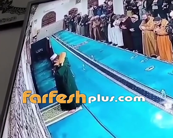قطة تقفز على كتف إمام مسجد أثناء صلاته.. وتخطف الأنظار! فيديو صورة رقم 2
