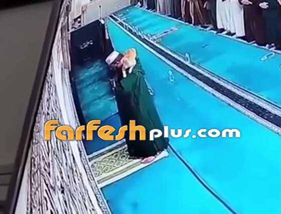 قطة تقفز على كتف إمام مسجد أثناء صلاته.. وتخطف الأنظار! فيديو صورة رقم 4