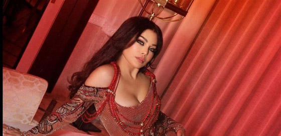 هيفاء وهبي تفاجئ الجمهور وتطلب من مصمم الأزياء ان يقصّ فستانها على المسرح صورة رقم 3