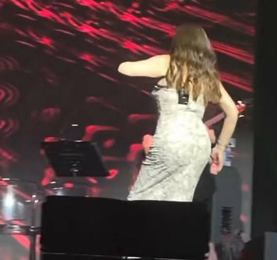 موقف محرج لإليسا على المسرح أثناء حفلتها مع مروان خوري.. ما الذي حصل؟ صورة رقم 3