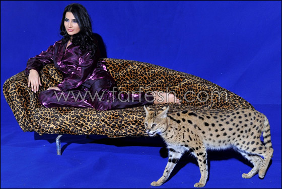 هر شيراز يفرض جوا من الرعب داخل ستوديو التصوير! صورة رقم 6 هر شيراز يفرض جوا من الرعب داخل ستوديو التصوير! صورة رقم 6