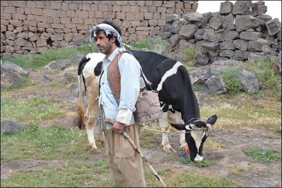 دريد لحّام يواكب ما يجري على الساحة العربية في مسلسل كوميدي! صورة رقم 6