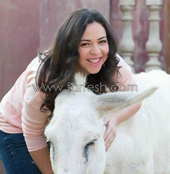 إيمي سميرغانم لمسلسلات اون لاين: الكلاب والقطط أكثر وفاءا من البشر صورة رقم 6 إيمي سميرغانم لمسلسلات اون لاين: الكلاب والقطط أكثر وفاءا من البشر صورة رقم 6