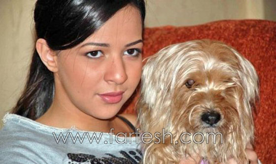 إيمي سميرغانم لمسلسلات اون لاين: الكلاب والقطط أكثر وفاءا من البشر صورة رقم 12 إيمي سميرغانم لمسلسلات اون لاين: الكلاب والقطط أكثر وفاءا من البشر صورة رقم 12