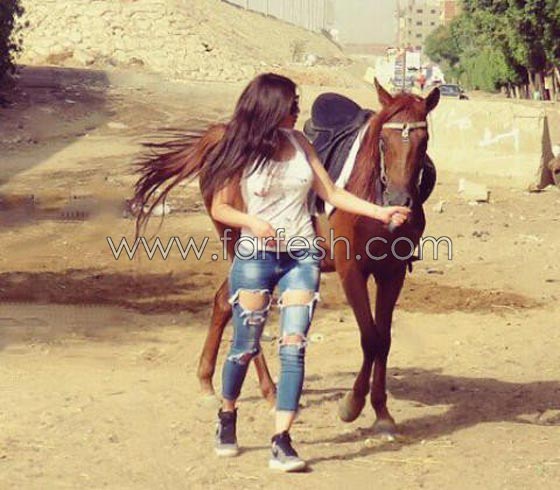  صور هيفاء وهبي تمتطي الفرس وتنافس عاصي الحلاني  صورة رقم 3