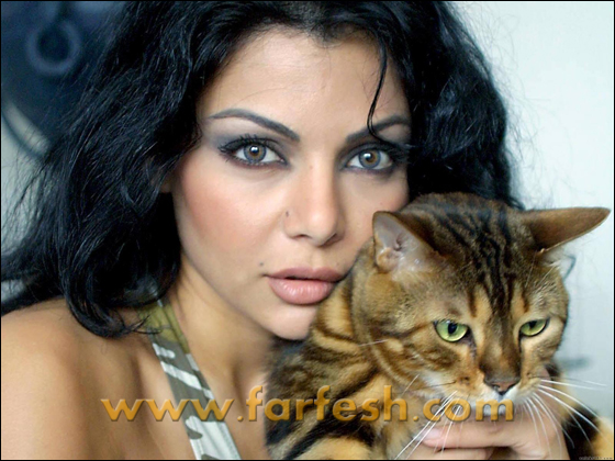 المخرج علاء محجوب: لا أريد سوى هيفاء زوجة تفصيل! صورة رقم 7 المخرج علاء محجوب: لا أريد سوى هيفاء زوجة تفصيل! صورة رقم 7