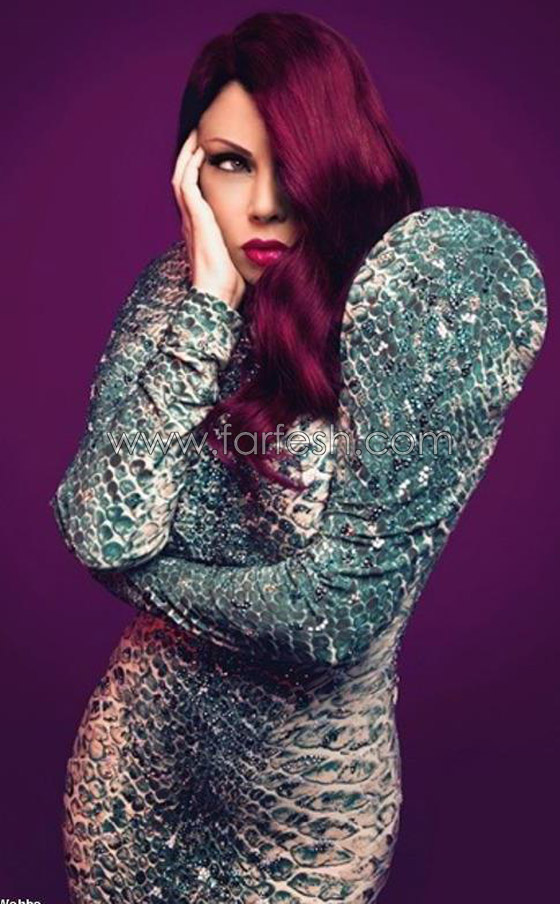 بعد طلاقها من أحمد أبوهشيمة: هل هيفاء وهبي حامل؟! صورة رقم 8 بعد طلاقها من أحمد أبوهشيمة: هل هيفاء وهبي حامل؟! صورة رقم 8