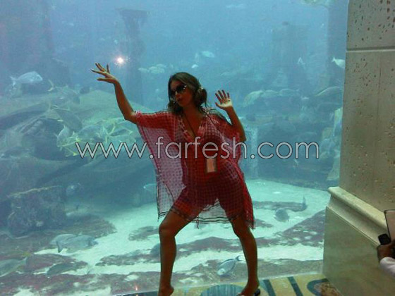 مي حريري: مايا دياب ما فيها انوثة وانا اقرب شخص الى ملحم  صورة رقم 4