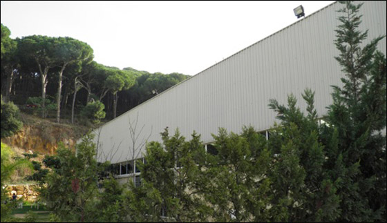 اليكم.. صور من تصوير اليكم.. صور من تصوير