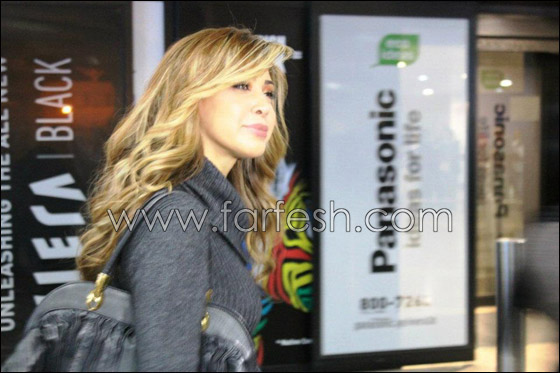 اشتعال الحرب بين معجبي نوال ووائل بحفل ليالي دبي!  صورة رقم 20