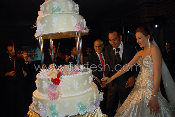 بالصور.. ألفت عمر ترتدي آخر تصميمات داغر في حفل زفافها    صورة رقم 28