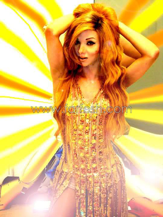 بعد اللقاء بقطر: المياه تعود الى مجاريها بين نجوى كرم وباسم فغالي صورة رقم 8