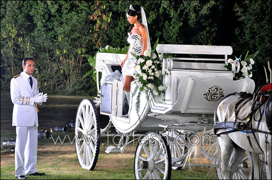 دوللي شاهين: سأرفض مشاهد دوللي شاهين: سأرفض مشاهد