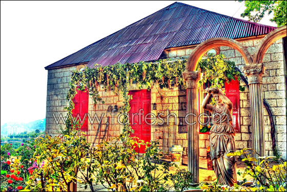 زوج دومينيك خانها.. وهي ردت له الصاع صاعين! صورة رقم 12 زوج دومينيك خانها.. وهي ردت له الصاع صاعين! صورة رقم 12