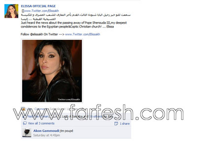 نجوم يعزون المصريين والمسيحيين بوفاة البابا شنودة صورة رقم 2 نجوم يعزون المصريين والمسيحيين بوفاة البابا شنودة صورة رقم 2