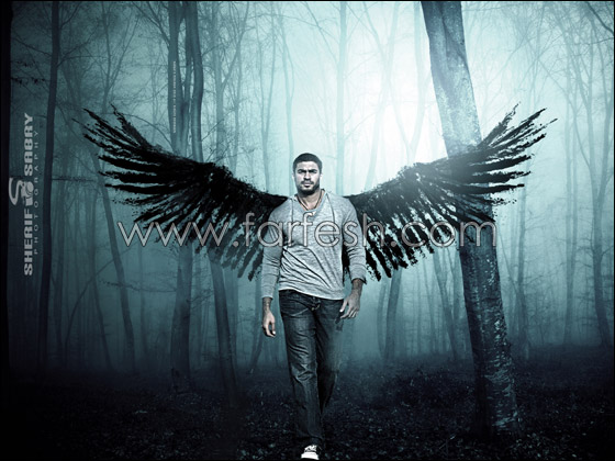 الفنان خالد سليم يختار شريف صبري للألبوم القادم!! صورة رقم 4 الفنان خالد سليم يختار شريف صبري للألبوم القادم!! صورة رقم 4