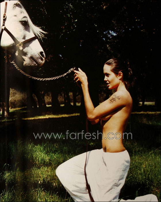 هل ستخوض انجلينا جولي تجربة الانتاج والاخراج لاول مرة؟! صورة رقم 10 هل ستخوض انجلينا جولي تجربة الانتاج والاخراج لاول مرة؟! صورة رقم 10