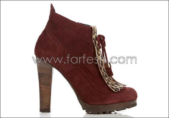 شيريل تمتلك الفي حذاء وبعضها في الثلاجة! صورة رقم 2 شيريل تمتلك الفي حذاء وبعضها في الثلاجة! صورة رقم 2