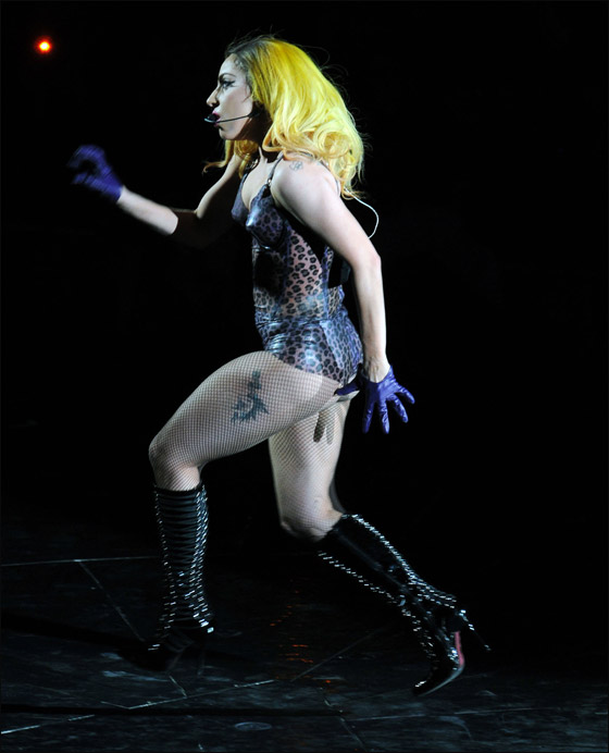 ليدي غاغا بملابس مثيرة في درجة حرارة 7 تحت الصفر! صورة رقم 7 ليدي غاغا بملابس مثيرة في درجة حرارة 7 تحت الصفر! صورة رقم 7