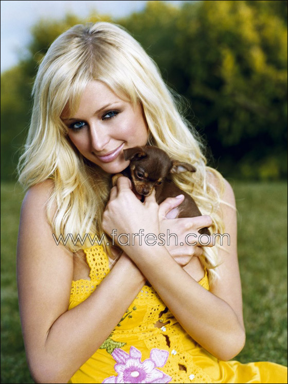 باريس هيلتون تهرّب المخدرات من بين ساقيها!  صورة رقم 25