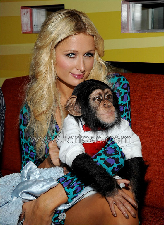 باريس هيلتون تهرّب المخدرات من بين ساقيها!  صورة رقم 46