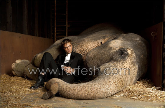 روبرت باتينسون المثير ضمن لائحة المرشحين لفيلم روبرت باتينسون المثير ضمن لائحة المرشحين لفيلم