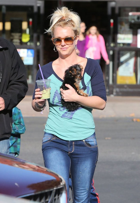 بالصور.. قصر النجمة بريتني سبيرز صورة رقم 19 بالصور.. قصر النجمة بريتني سبيرز صورة رقم 19