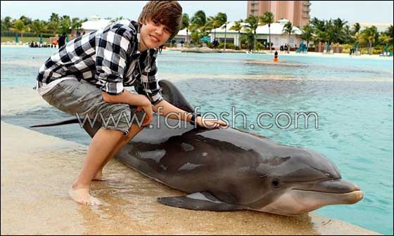 شاهدوا.. جستن بيبر لحظة هبوط طائرته الخاصة! صورة رقم 19 شاهدوا.. جستن بيبر لحظة هبوط طائرته الخاصة! صورة رقم 19