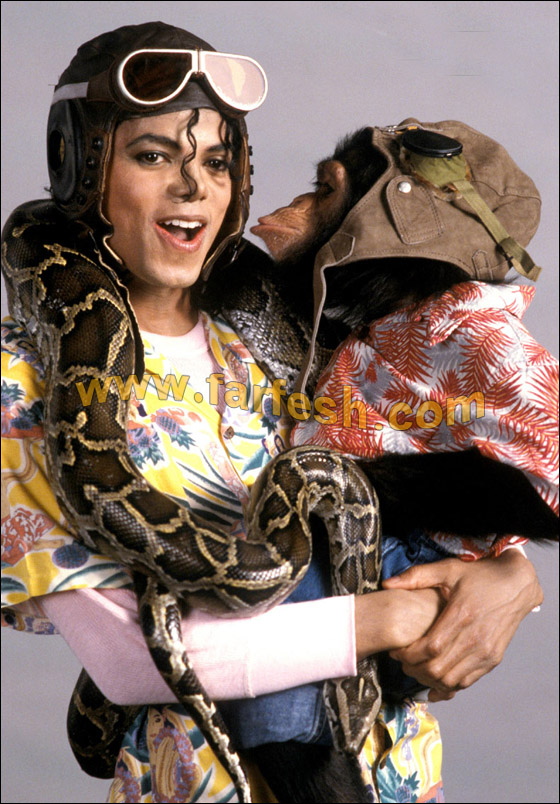 ريع تركة جاكسون تصل لاكثر من 300 مليون دولار بعد وفاته صورة رقم 5 ريع تركة جاكسون تصل لاكثر من 300 مليون دولار بعد وفاته صورة رقم 5