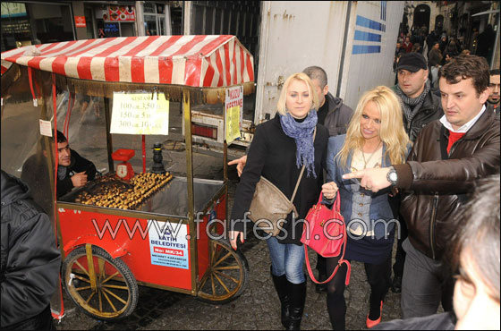 لماذا حثت باميلا اندرسون الاتراك على اخصاء حيواناتهم الاليفة؟!  صورة رقم 4