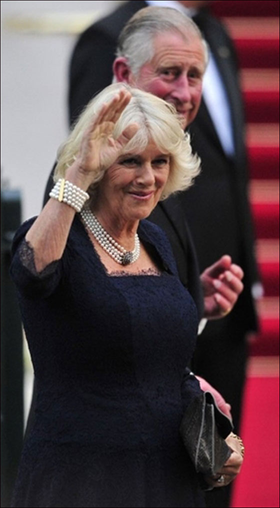 مسلسلات اون لاين ينقل لكم احدث الصور لتوافد أهم الشخصيات للزفاف الملكي  صورة رقم 13