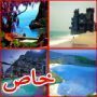 بالصور.. 