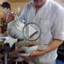 شاهدوا بالفيديو طريقة مجنونة وجديدة لصبّ الشاي!  
