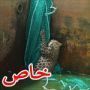 بالصور: ملخص ابرز لقطات عام 2012 