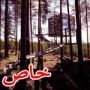 بالصور: اجمل 