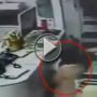 بالفيديو: طفلة تسرق برشاقة المحترفين وببغاء تسرق النقود!