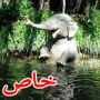اليكم.. المزيد من المقتطفات من صفحة فرفش على 
