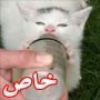 اذا كنت تحب القطط قدّم لهم مياه معدنية!
